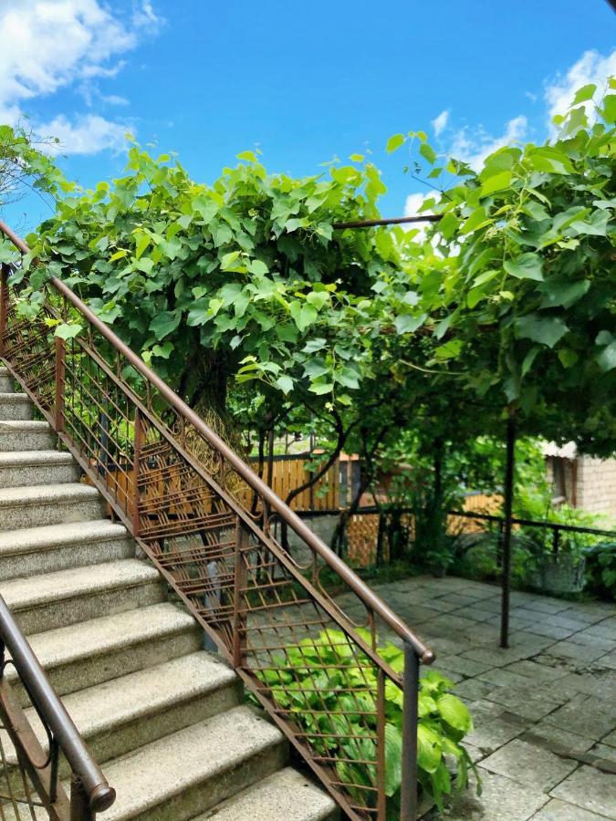 Achela'S Guesthouse Borjomi Luaran gambar