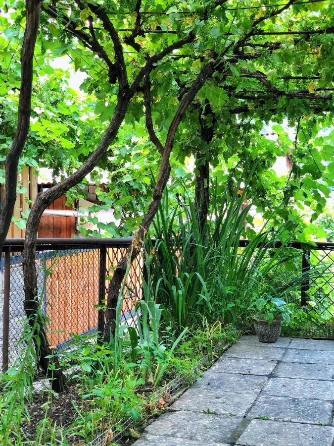 Achela'S Guesthouse Borjomi Luaran gambar