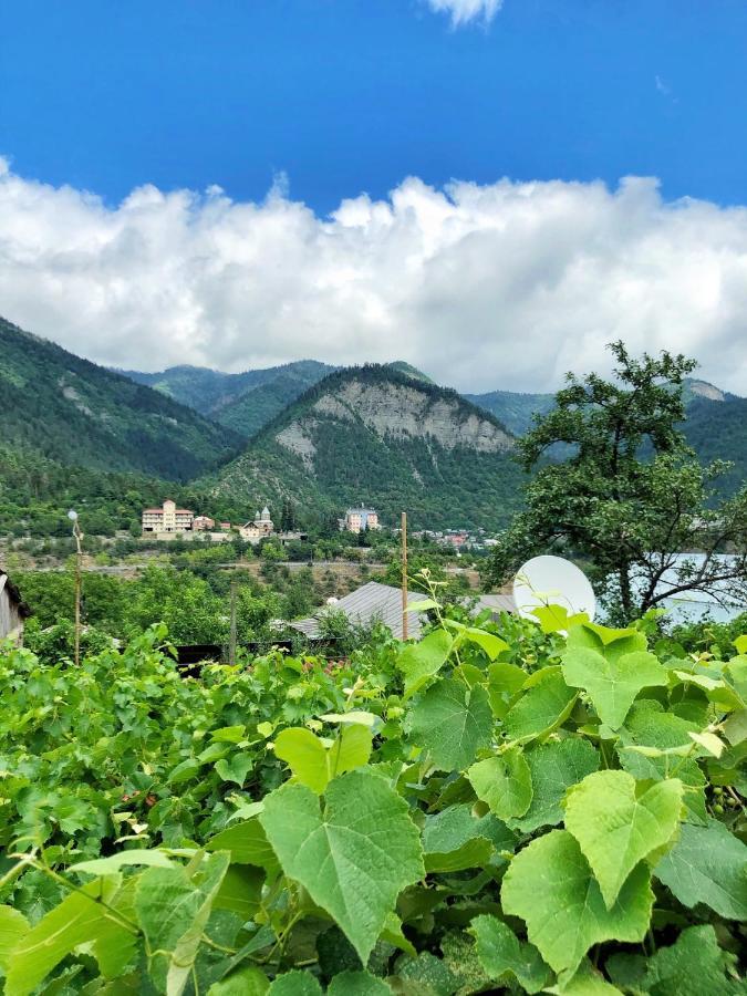 Achela'S Guesthouse Borjomi Luaran gambar