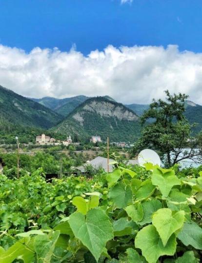 Achela'S Guesthouse Borjomi Luaran gambar
