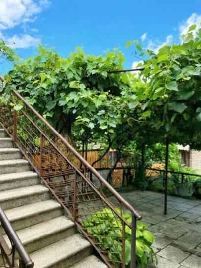 Achela'S Guesthouse Borjomi Luaran gambar