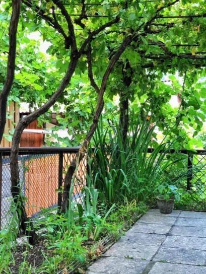 Achela'S Guesthouse Borjomi Luaran gambar